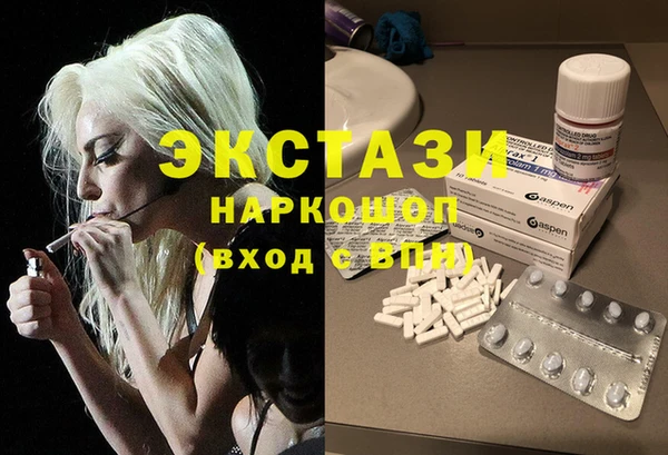 стаф Алзамай